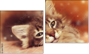 Diptych