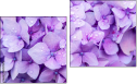 Diptych