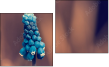 Diptych
