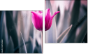 Diptych