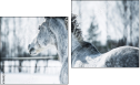 Diptych
