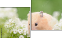 Diptych