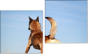 Diptych