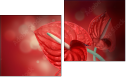 Diptych