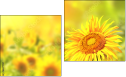 Diptych