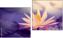 Diptych