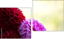Diptych