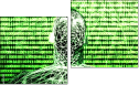 Diptych