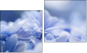 Diptych