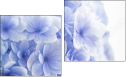 Diptych