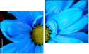 Diptych