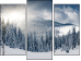Triptych