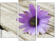 Triptych