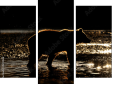 Triptych