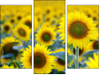Triptych