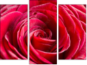 Triptych