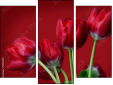 Triptych
