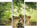 Triptych