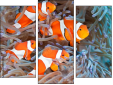 Triptych