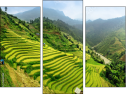 Triptych