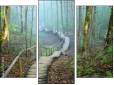 Triptych
