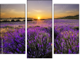 Triptych