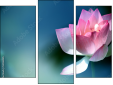 Triptych