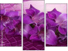 Triptych