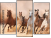Triptych