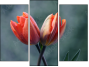 Triptych