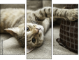 Triptych