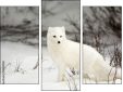 Triptych