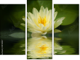 Triptych