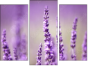 Triptych