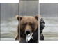 Triptych