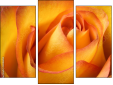 Triptych