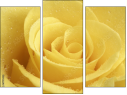 Triptych