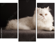 Triptych