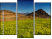 Triptych