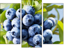 Triptych