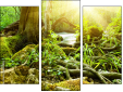 Triptych