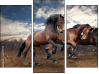 Triptych
