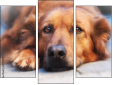Triptych