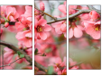Triptych
