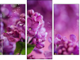 Triptych
