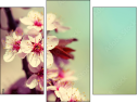 Triptych
