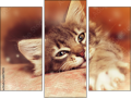Triptych