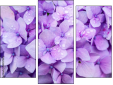 Triptych