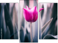 Triptych