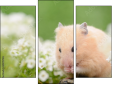 Triptych